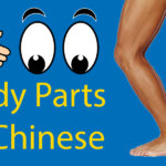 Body Parts in Chinese 👤 From Head to Toe Thumbnail
