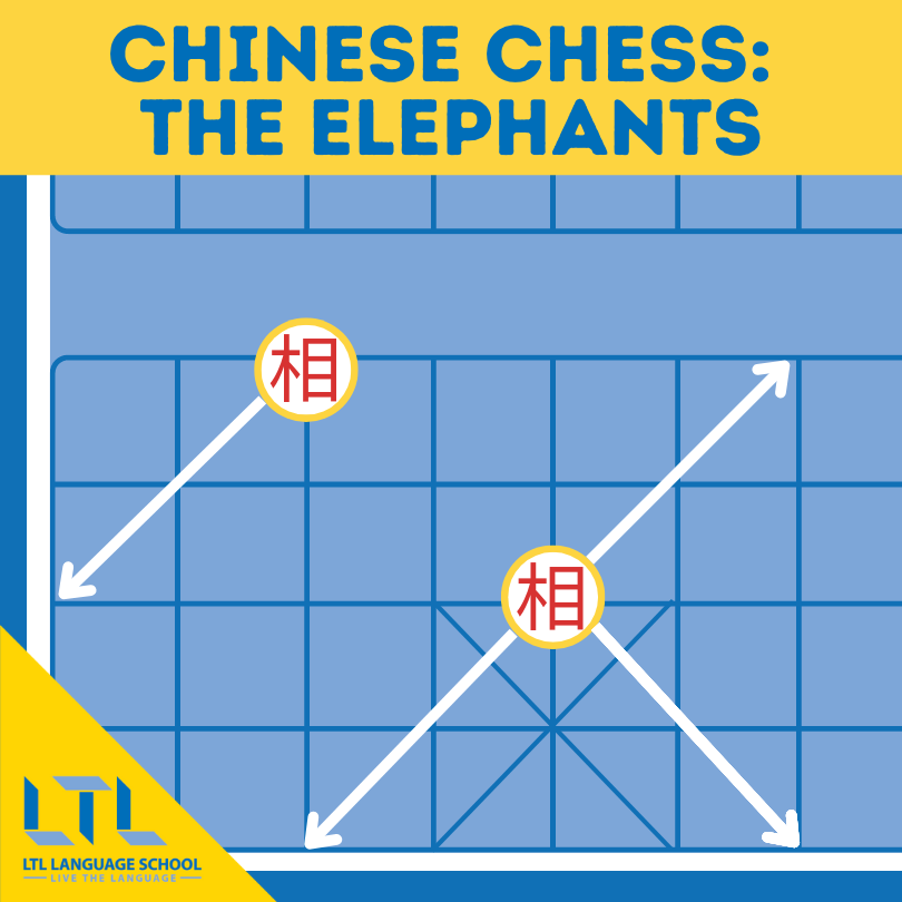 Xiangqi Elephants