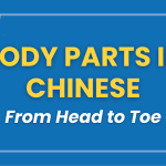 Body Parts in Chinese 👤 From Head to Toe || FREE QUIZ Thumbnail